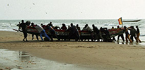 Portal a senegal