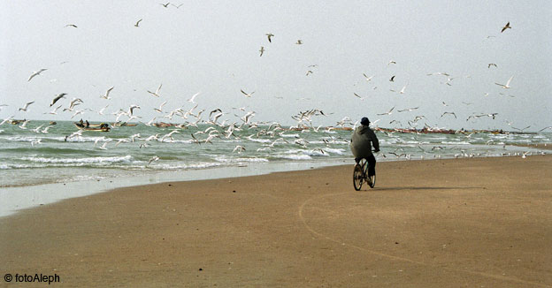 Portal a Senegal