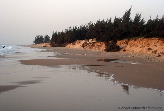 Portal a Senegal