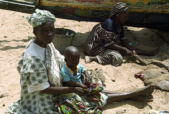 Portal a Senegal