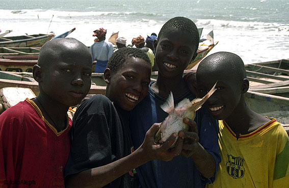 Portal a Senegal