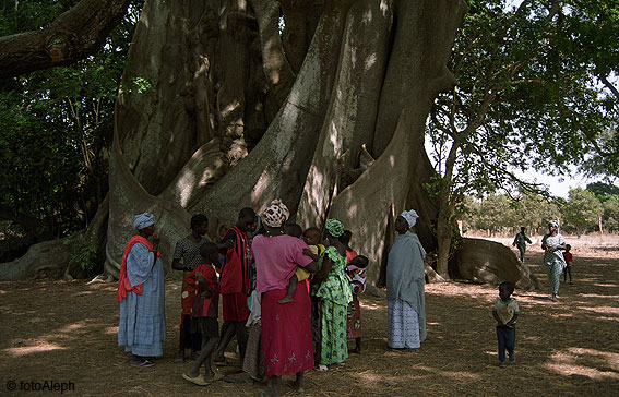 Portal a Senegal