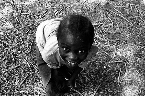Portal a Senegal