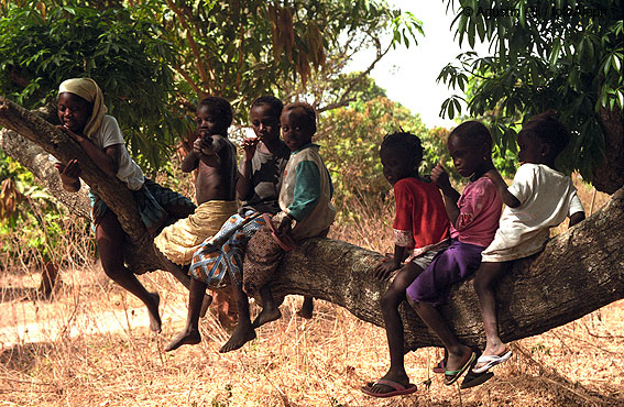 Portal a Senegal