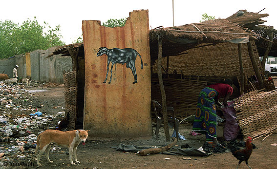 Portal a Senegal