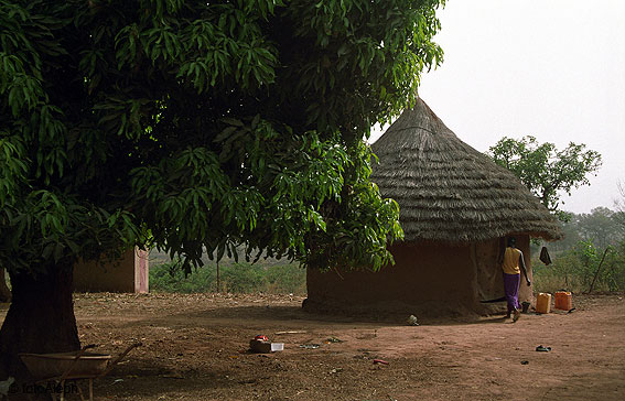 Portal a Senegal