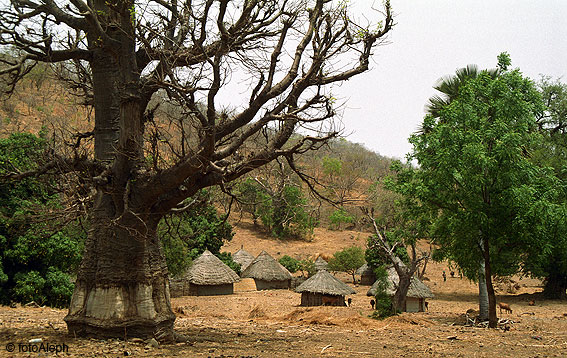 Portal a Senegal