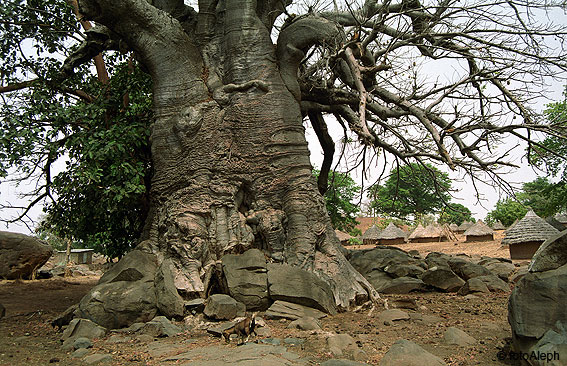 Portal a Senegal