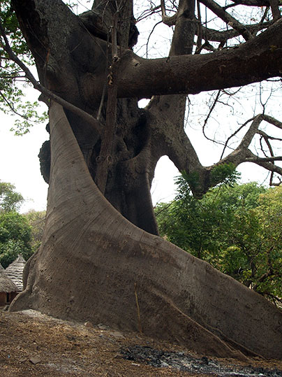 Portal a Senegal