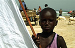 Portal a Senegal