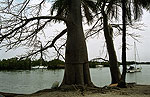 Portal a Senegal