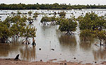 Portal a Senegal