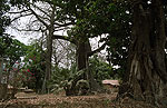 Portal a Senegal