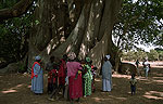 Portal a Senegal