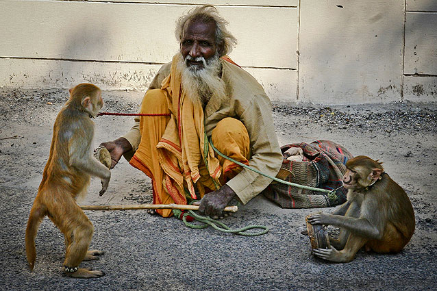 Sadhus