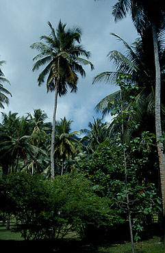 Islas Seychelles