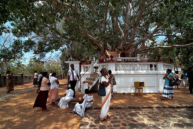 Sri Lanka