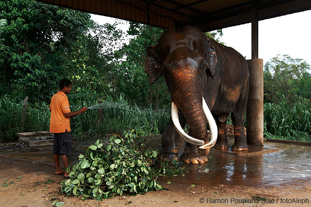 Sri Lanka