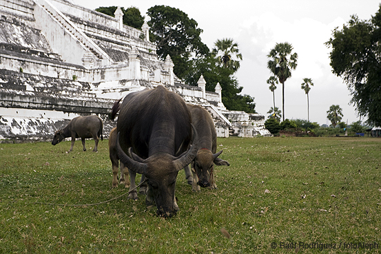 Tailandia