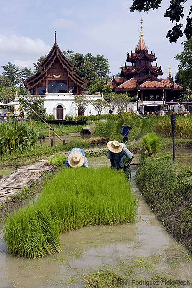 Tailandia