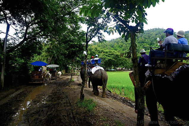 Tailandia