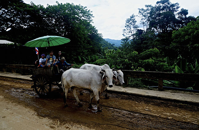 Tailandia