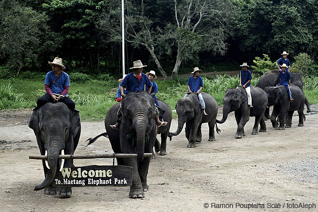 Tailandia