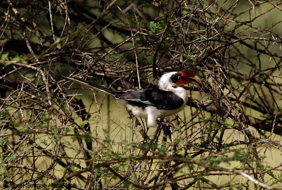 Tanzania