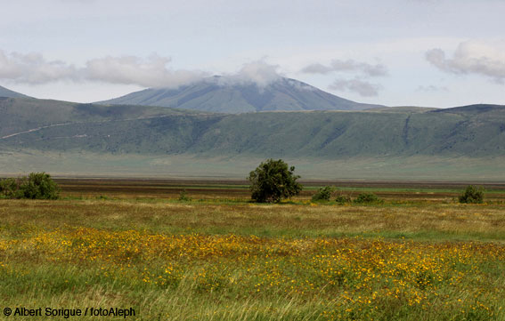 Tanzania