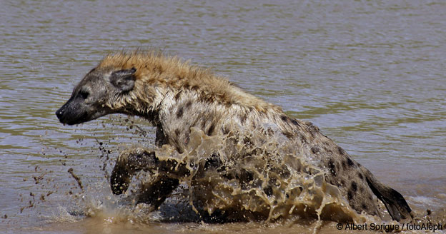 Tanzania