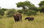 Tanzania