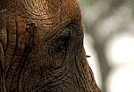 Tanzania