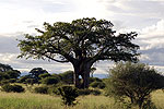 Tanzania