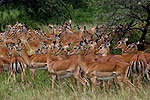 Tanzania
