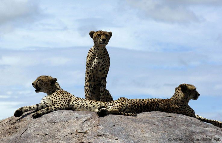 Tanzania, santuario de la Naturaleza