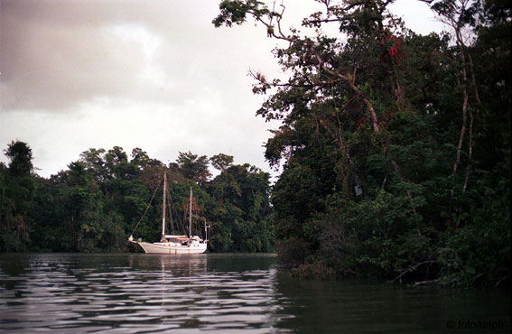 Aguas de la Tierra