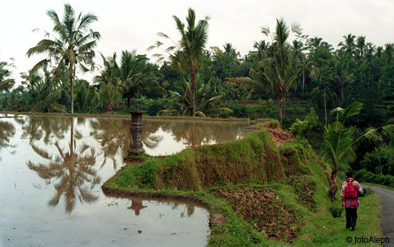 Aguas de la Tierra