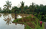 Aguas de la Tierra