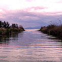 Agua de Valencia