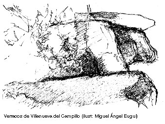 Verracos de Villanueva del Campillo