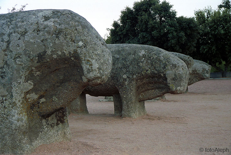 Verracos. Arte escultorico de los celtas