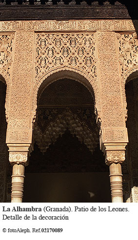 El embrujo de la Alhambra