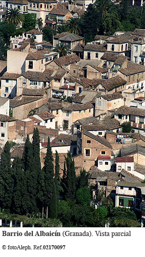 El embrujo de la Alhambra