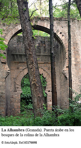 El embrujo de la Alhambra