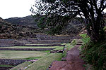 Los incas