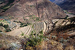 Los incas