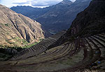 Los incas