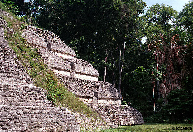 Los Mayas