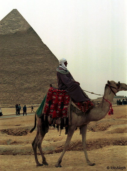 Piramides de Egipto