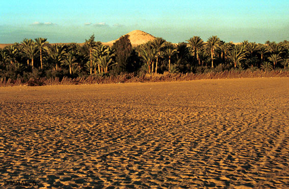 Piramides de Egipto